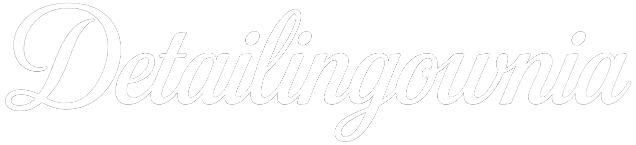 Logo Detailingownia